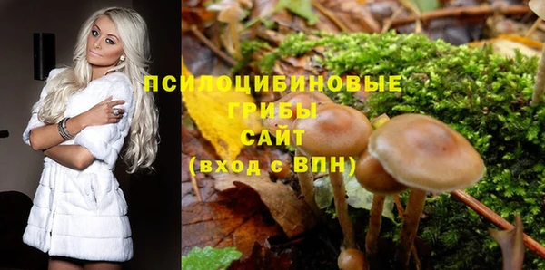 мяу мяу мука Алексин