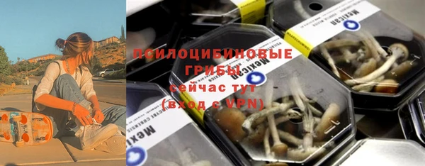 ГАЛЛЮЦИНОГЕННЫЕ ГРИБЫ Аркадак