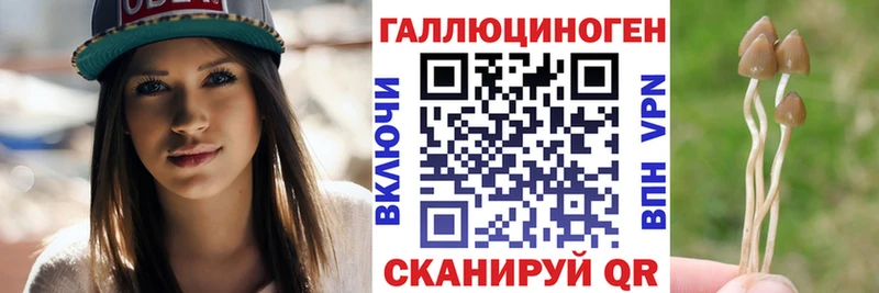 где купить наркоту  Ахтубинск  Псилоцибиновые грибы Cubensis 